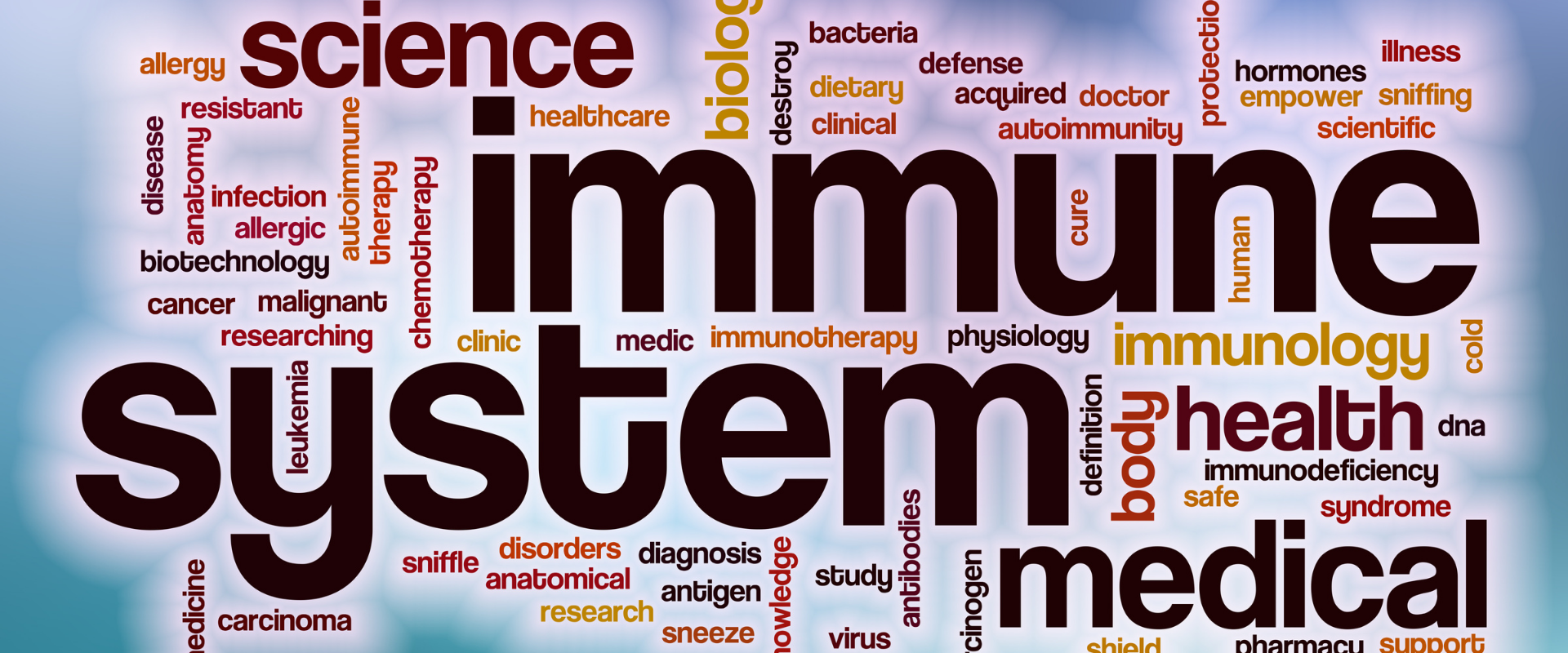 Strong Immune System in Children: The Key to a Healthy Future